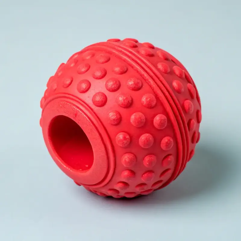 Rubber Squeaky Dog Toy
